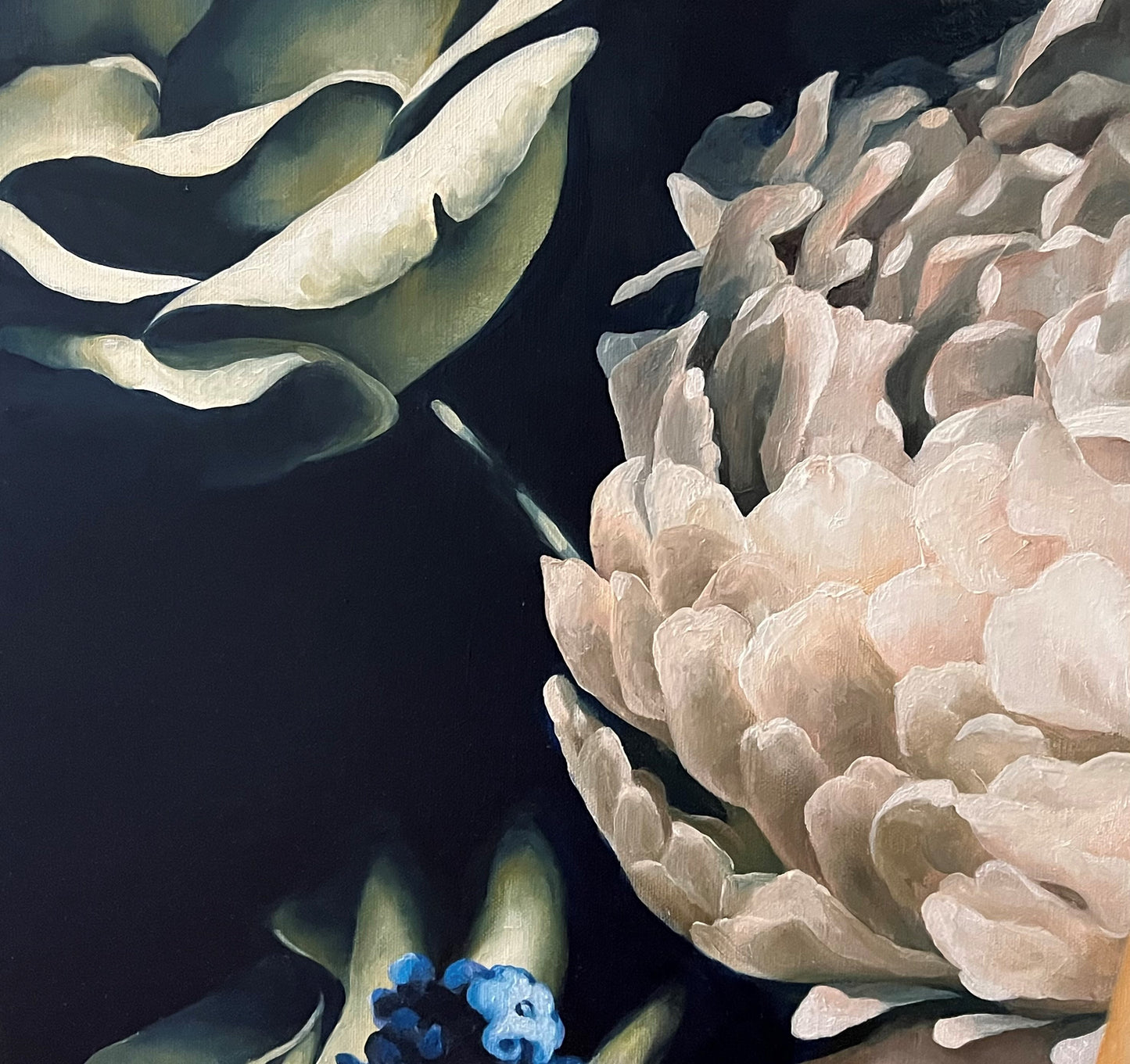 Beauty Unfolding