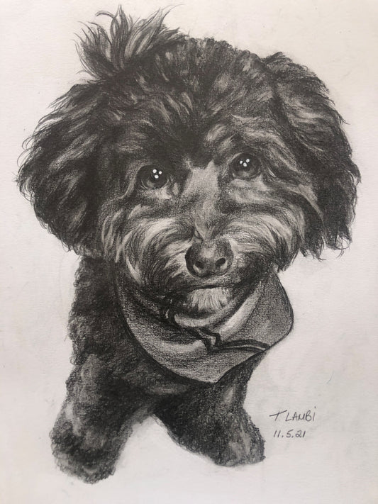Teddy